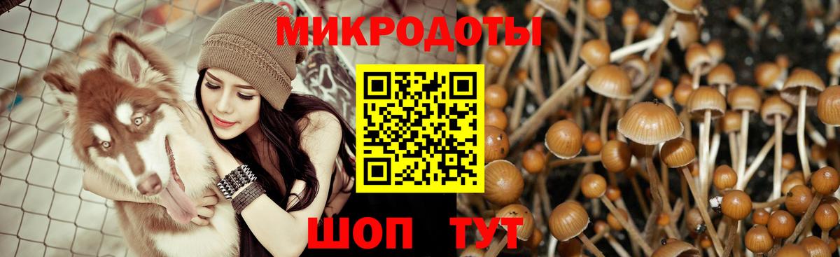 Галлюциногенные грибы мицелий Стрежевой